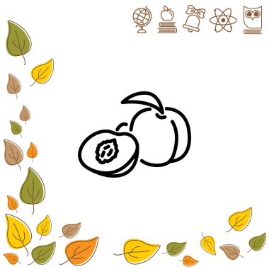 Kayısı düz simgesi