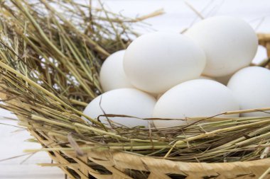 tavuk yumurtası saman ile sepeti