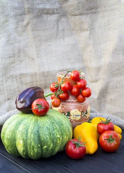 Zöld sütőtök, a paradicsom, a paprika és a kancsó — Stock Fotó