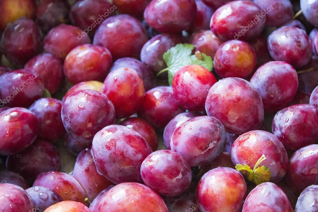 Raw fresh plums — Stock Photo © PPVector 168806156