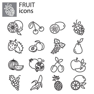 Meyve web Icons set