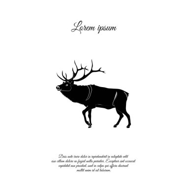 Ren geyiği, geyik, vahşi hayvan logosu