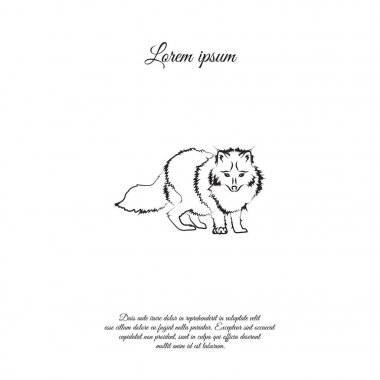 Kutup tilkisi, vahşi hayvan simgesi