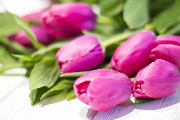 Zářivě Růžové Tulipány Dřevěné Pozadí — Stock fotografie