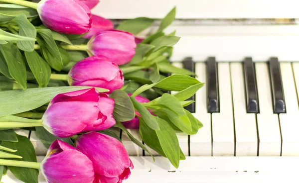 Růžové Tulipány Poznámky Růžové Tulipány Bílé Piano — Stock fotografie
