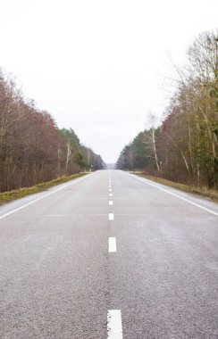 Eski asfalt yol. Asfalt yol ve bahar orman