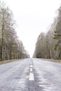 Eski asfalt yol. Asfalt yol ve bahar orman