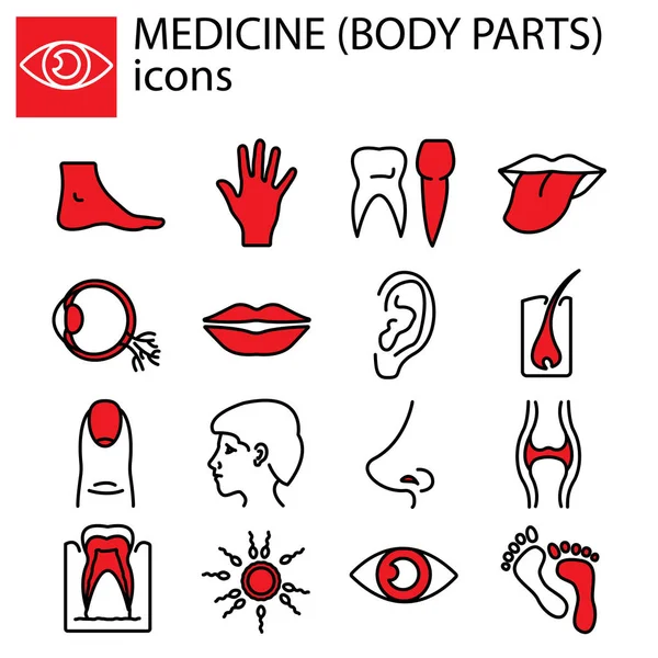 Conjunto Líneas Web Medicina Partes Del Cuerpo — Vector de stock