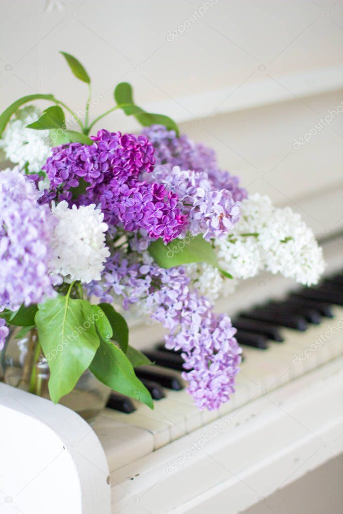 lilac on piano close-up. White piano. Lilac bouquet several colors over Syringa vulgaris. Lilac flowers bunch. 