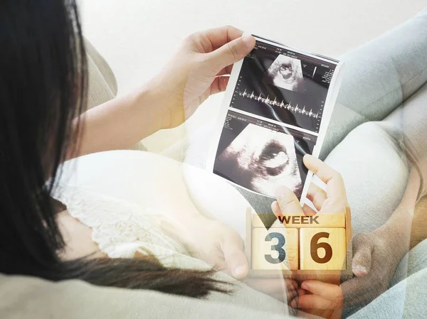 Dubbel exproure av gravid kvinna som håller ultraljud genomsökning och kalender vecka 36. Begreppet gravid hälso-och sjukvård. Royaltyfria Stockbilder