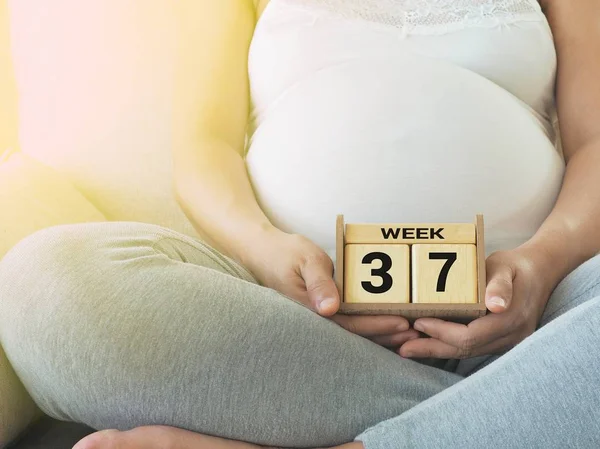 Kalendarz z 37 tygodni w ciąży Ciąża kobieta tła. Koncepcja macierzyństwo. Spodziewając się nadchodzących baby. Due date odliczanie. — Zdjęcie stockowe