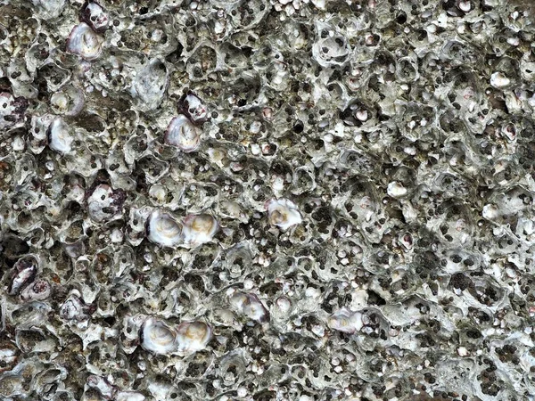 Basaltwand - Stockfotografie: lizenzfreie Fotos © jrphoto 4395387