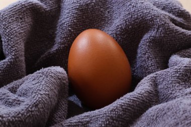 Taze kahverengi tavuk yumurta bez portre üzerinde