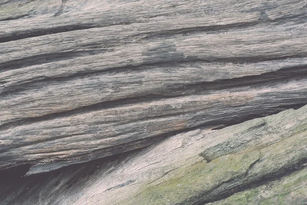 古い木の質感のクローズ アップ ビンテージ — ストック写真