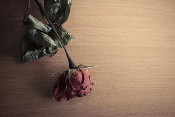 Trockene Rosen auf einem hölzernen — Stockfoto