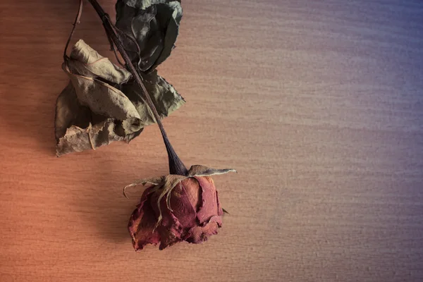 Ξηρά τριαντάφυλλα που τοποθετούνται σε ένα ξύλινο — Φωτογραφία Αρχείου