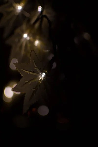 Bokeh φως φθινοπώρου στο νύχτα υπόβαθρο, αφηρημένη διασημότητες. — Φωτογραφία Αρχείου