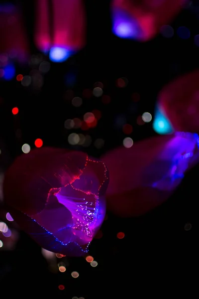 Ткань цветы с красочным боке света абстрактного фона ночью . — стоковое фото