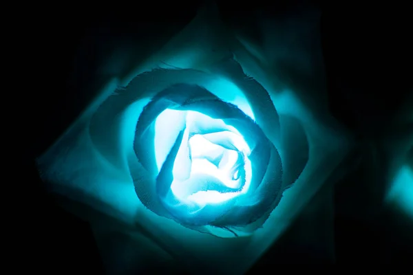 Τριαντάφυλλο λουλούδι ύφασμα με φως σε νύχτα closeup — Φωτογραφία Αρχείου