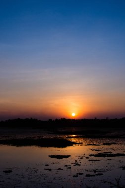 Siluet bataklık gün gün batımı ile.