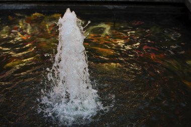 Çeşme ve koi balık gölet.