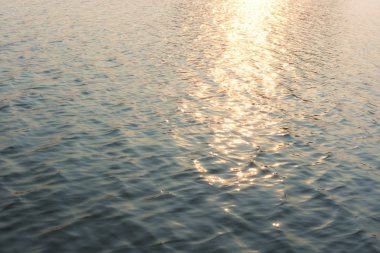 Güneş ışığı yansıtan ve nehirde köpüklü.