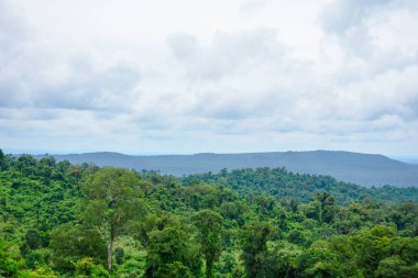 En iyi manzara ağaçlar dağlar ve mavi gökyüzü ile