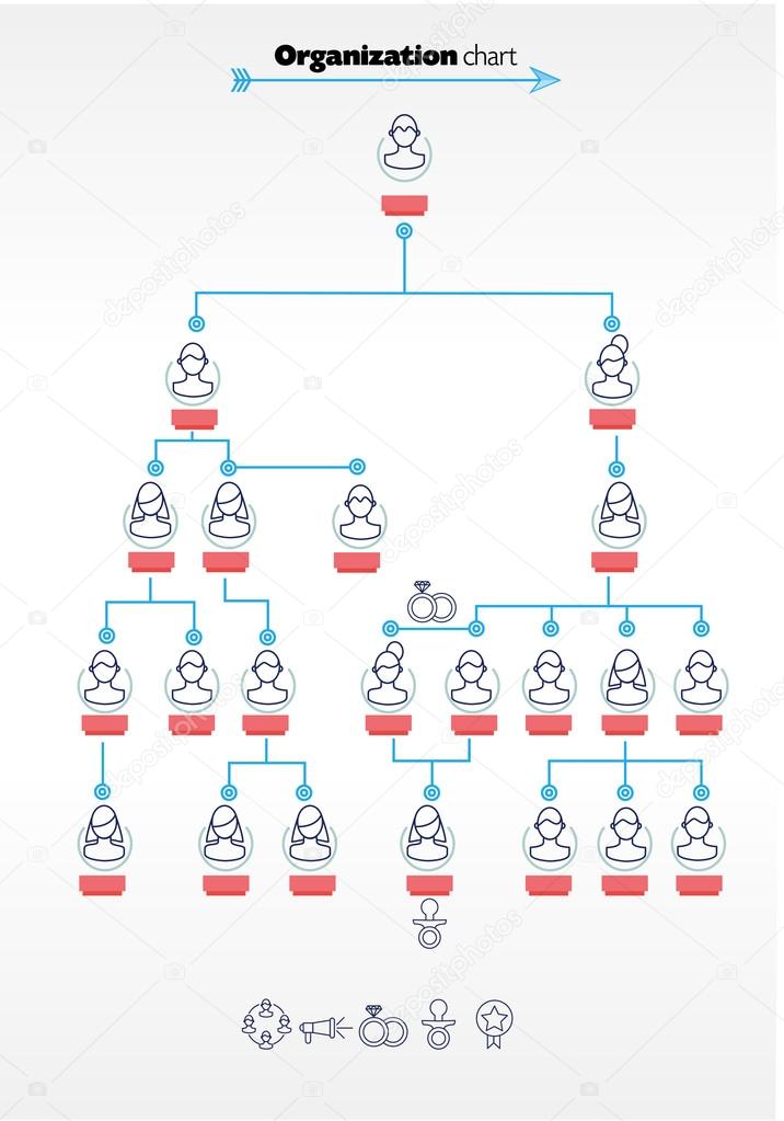 organization chart bussines or family