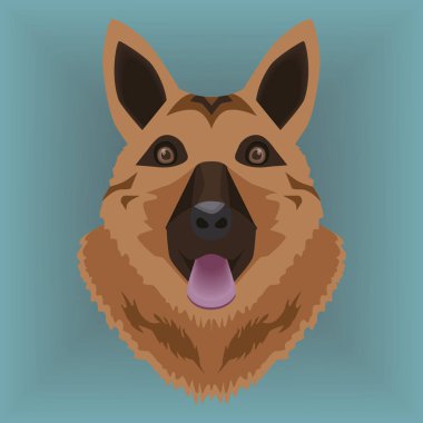 Alman sheperd köpek