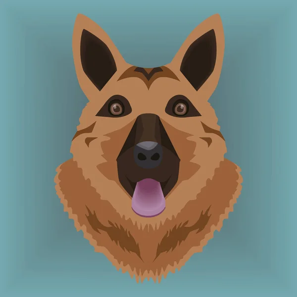 Alman sheperd köpek