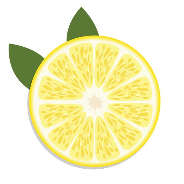 Tranches de citron . — Image vectorielle