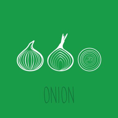 Soğan anahat vektör simgesi.