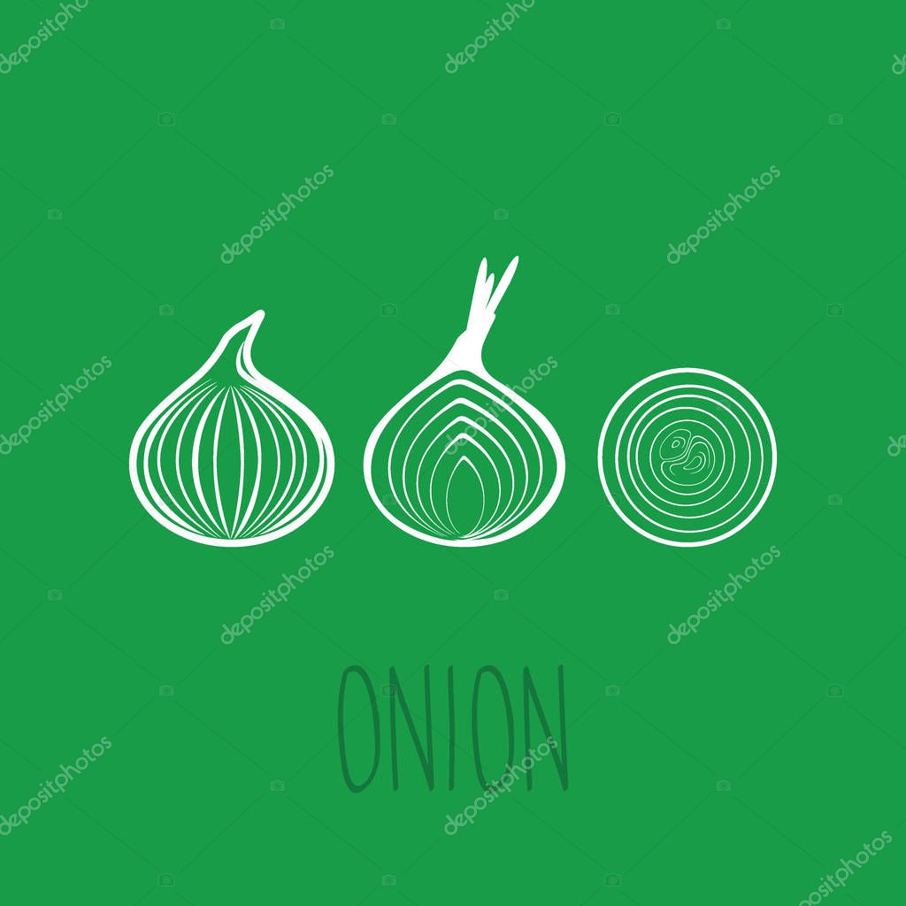 Onion outline vector icon on the green background.