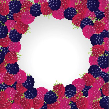 Parlak Gerçekçi Berry Çerçevesi