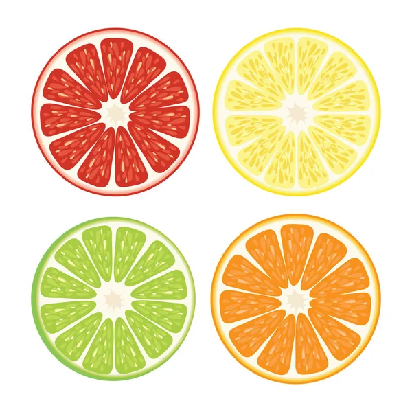 Orange lime grapefruit mandarin slice set - Stok Vektor