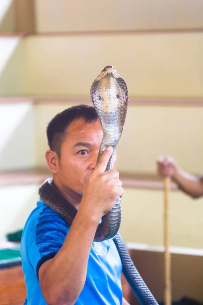 Thaï serpent tamer tient un cobra dans sa main . — Photo