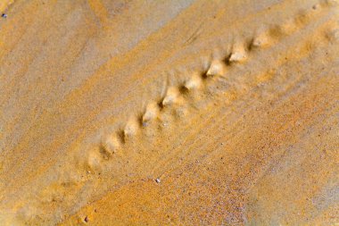Bir dere tarafından yapılan kum üzerinde çizim.