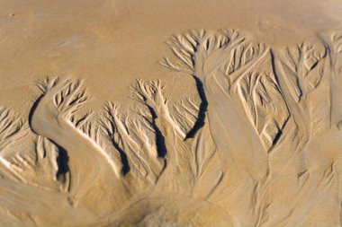 Bir dere tarafından yapılan kum üzerinde çizim.