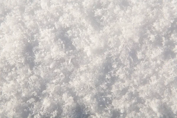 Kısa bir mesafede fotoğraflandı kar örtüsü bir parçası.