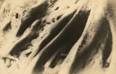 Soyutlama. Güzel ağaç kökleri.