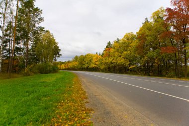 Road Rusya orta bölgesi sonbahar içinde.