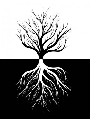 Silhouette bir ağaç ve kökleri.