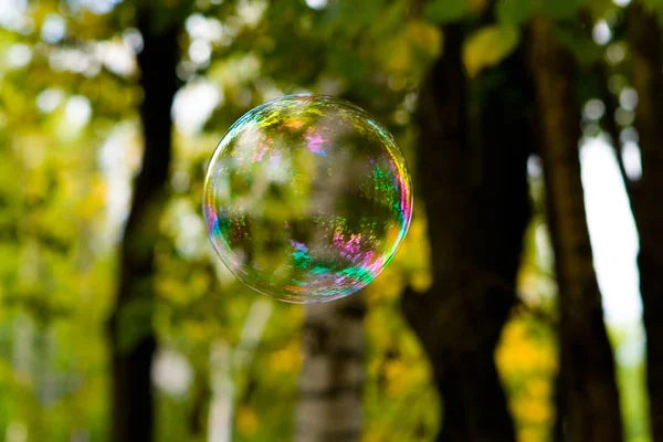 Uma bolha de sabão com belas reflexões voa pelo ar . — Fotografia de Stock