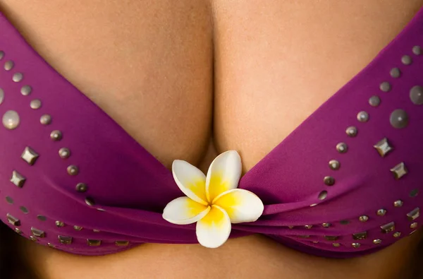 A flower of a gentle magnolia adorns a woman's breast. — Stock Photo, Image