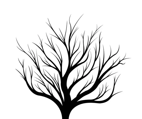 Silhouette nera di un albero su sfondo bianco . — Foto Stock