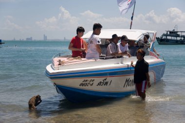 Kurnaz maymun tekneye turistlerle oluyor.
