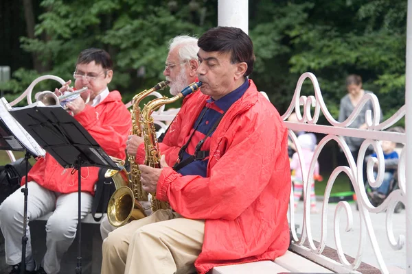 Musicisti che suonano trombe nel parco . — Foto Stock