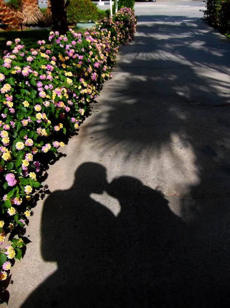 Mann und Frau küssen sich unter Palmen. — Stockfoto