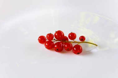 Frenk üzümü meyveleri ile fışkın.