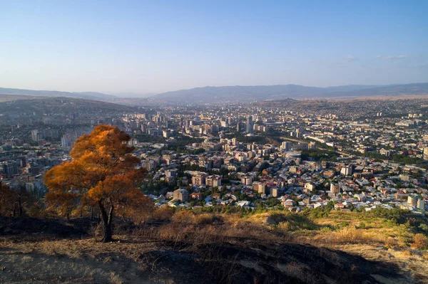 Tbilisi dan Mount Mtatsminda görünümünü.